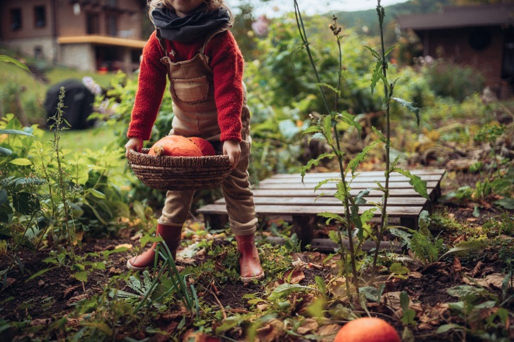 Kind mit Kuerbis im Garten